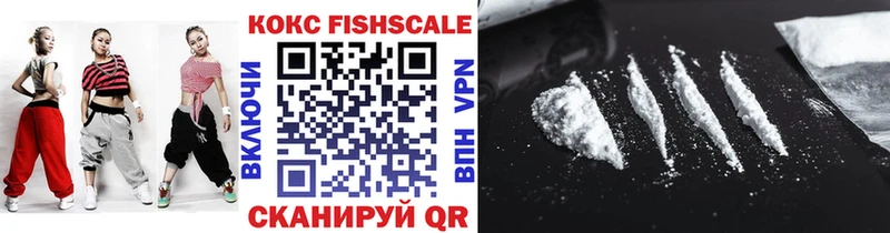 КОКАИН Fish Scale  блэк спрут вход  Новотроицк 