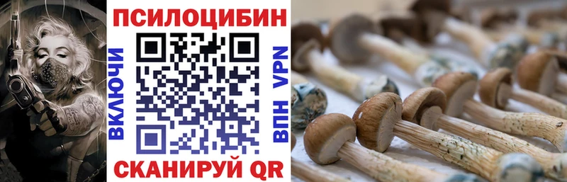 KRAKEN вход Новотроицк Галлюциногенные грибы мицелий
